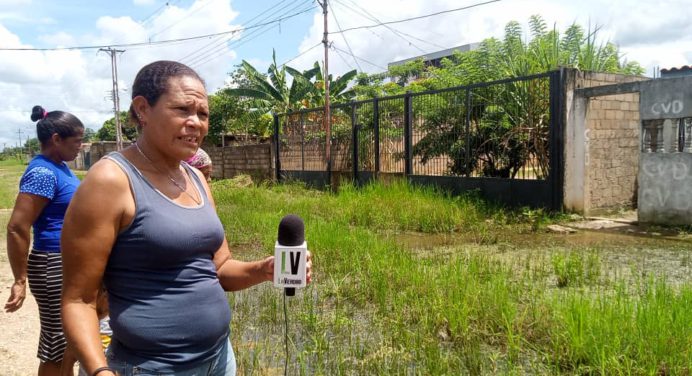 Entre lodo y aguas negras viven en Santa Inés I