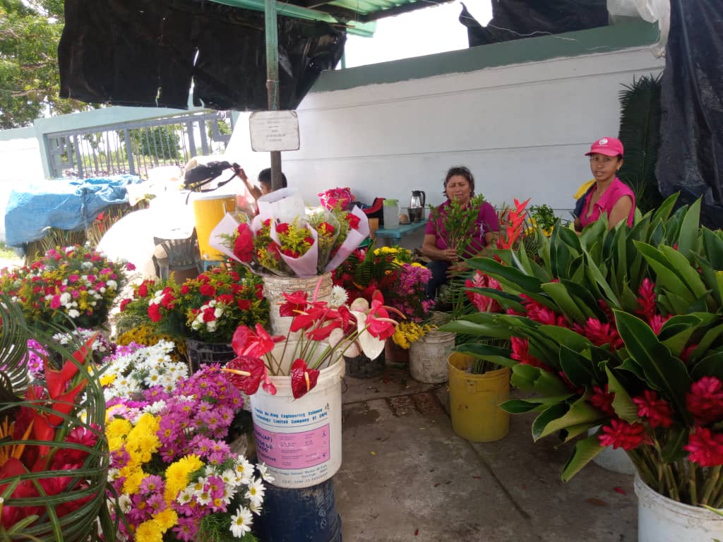 flores en cementerio nuevo desde 25 bolivares la mas economica laverdaddemonagas.com whatsapp image 2022 10 31 at 5.54.01 pm