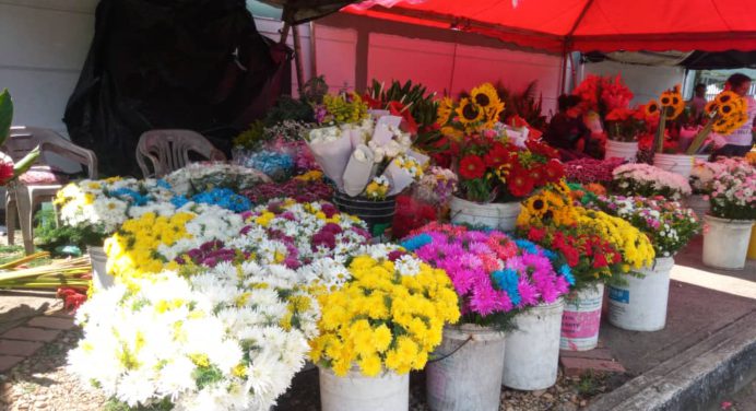 Flores se consiguen en el Cementerio nuevo desde 25 bolívares