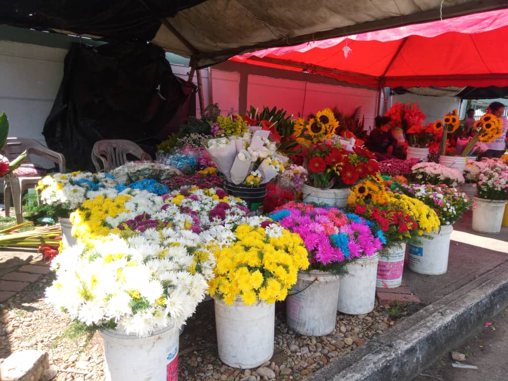 flores en cementerio nuevo desde 25 bolivares la mas economica laverdaddemonagas.com whatsapp image 2022 10 31 at 5.54.08 pm