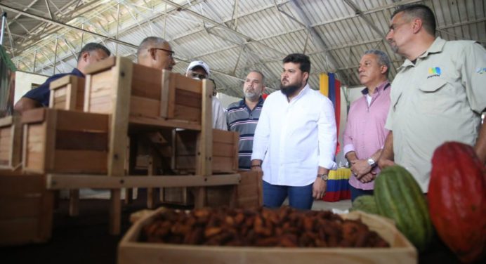 En Monagas impulsarán rescate y producción de café y cacao