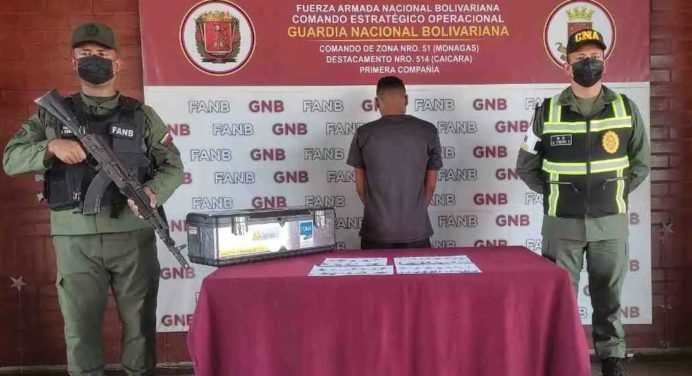 GNB captura en Caripe a sujeto que tenía 70 plántulas de marihuana