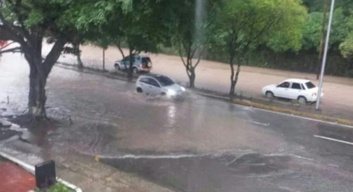 Lluvias en Miranda dejaron cinco familias sin hogar