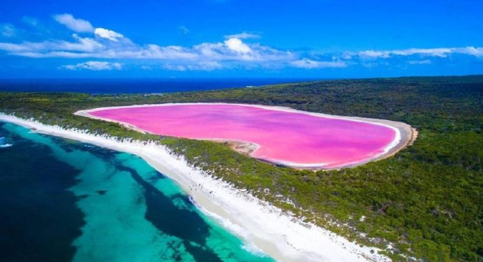 Los 5 lagos rosa más bellos del mundo y la razón de su extraño aspecto