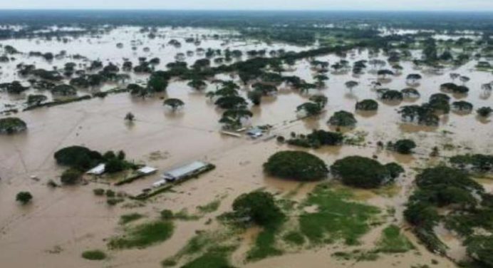 Más de 400 productores agropecuarios afectados por lluvias en Zulia