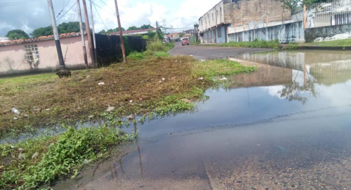 Aguas negras corren por la avenida José Tadeo Monagas en Las Cocuizas denuncian vecinos