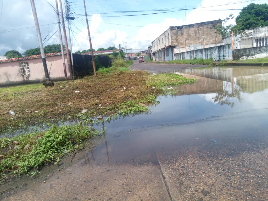 aguas negras corren por la avenida jose tadeo monagas en las cocuizas denuncian vecinos laverdaddemonagas.com whatsapp image 2022 11 17 at 4.27.26 pm