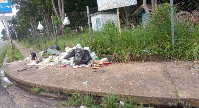 Basura y deterioro del asfaltado en la parroquia Las Cocuizas