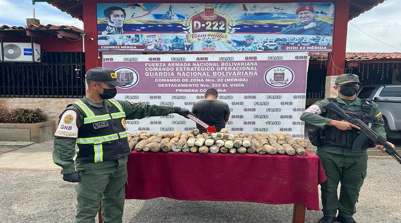 FANB incauta 77 Kg de marihuana de un camión en Mérida