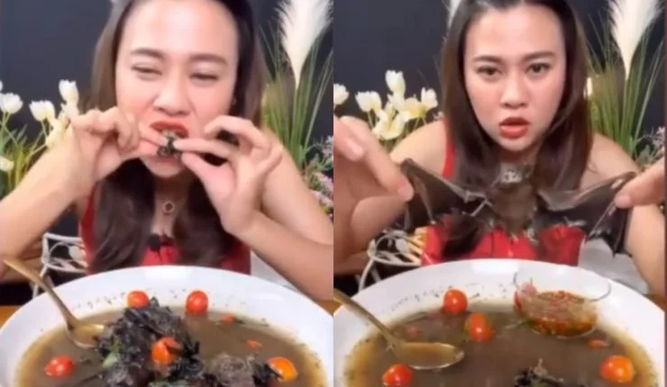 youtuber ome murcielagos en tailandia