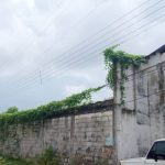 ocho viviendas afectadas por botes de aguas negras en las cocuizas laverdaddemonagas.com whatsapp image 2022 11 23 at 4.54.04 pm