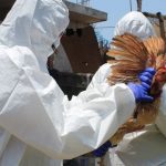 aperu declara emergencia sanitaria por brote de influenza aviara laverdaddemonagas.com standard emergencia sanitaria por gripe aviar senasa