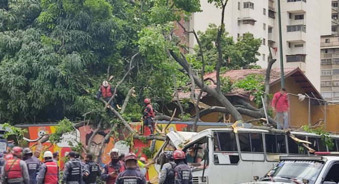 Caída de árbol sobre una vivienda en Baruta deja un fallecido y varios heridos
