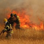 chile mantiene alertas rojas en nueve comunas por incendios forestales laverdaddemonagas.com 1668452249 auno1340114