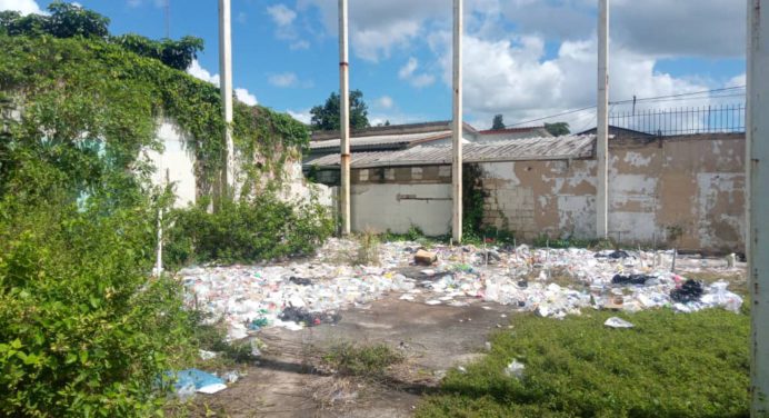 En basureros han convertido terrenos de calle Cedeño