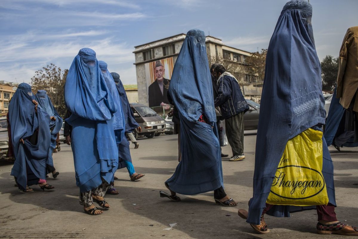 los talibanes prohiben a las mujeres trabajar en ong laverdaddemonagas.com veyhlhkrjbaqxoitoeu2bmgqw4