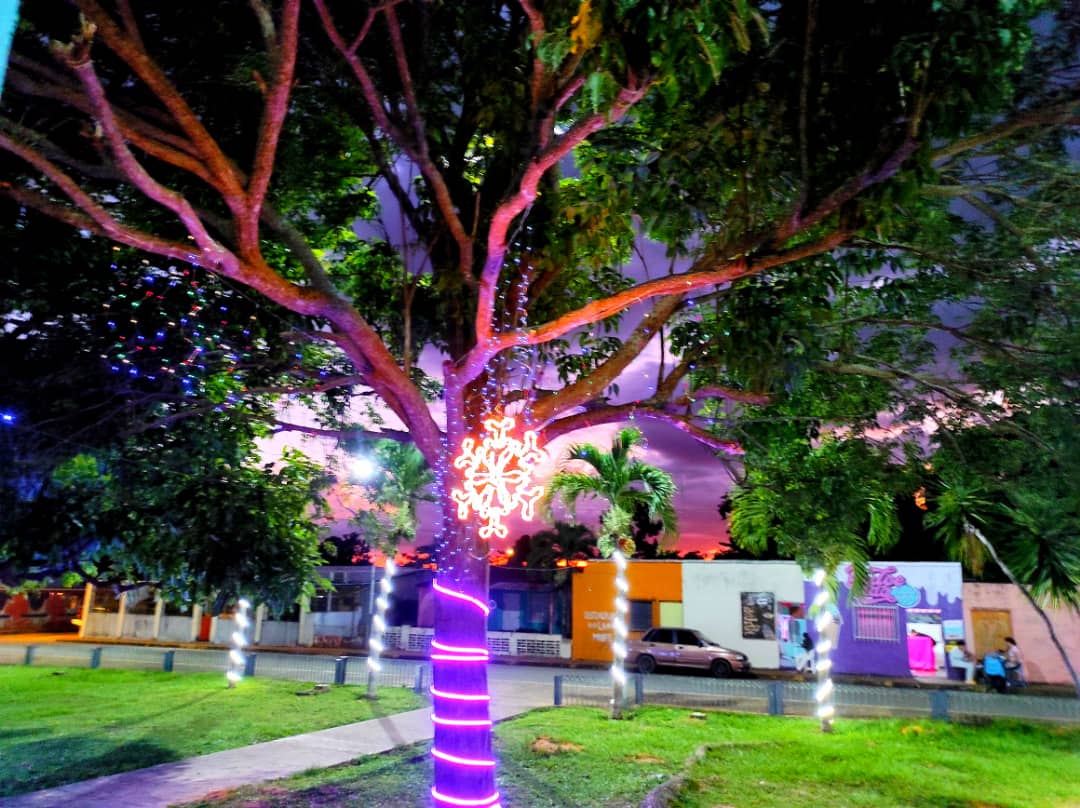 plazas y parques de aguasay se visten de navidad con encendido de luces laverdaddemonagas.com whatsapp image 2022 12 12 at 2.04.09 pm