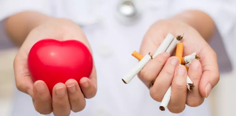 tabaquismo causa 20 de defunciones por cardiopatia coronaria laverdaddemonagas.com tabaco cardiopatia jpg