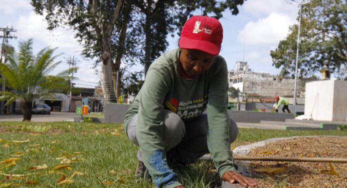 Alcaldía de Maturín profundiza el embellecimiento de la ciudad