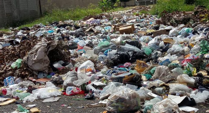Áreas del Ince Las Cocuizas se encuentran minadas de basura y alimañas