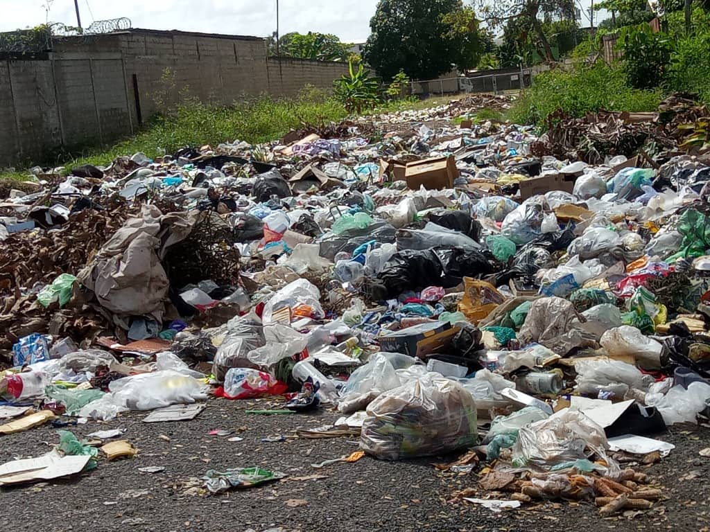 Áreas del Ince Las Cocuizas se encuentran minadas de basura y alimañas