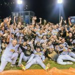 Leones del Caracas campeones