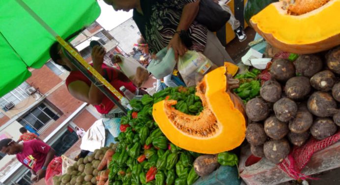 Pescado y verduras opciones más rentables para las familias
