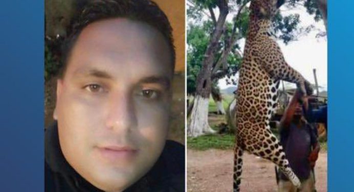Orden de aprehensión contra sujeto que mató a un jaguar en Monagas