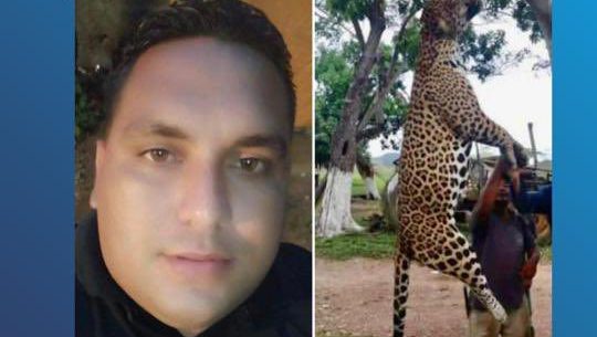 Mató a un jaguar en Monagas