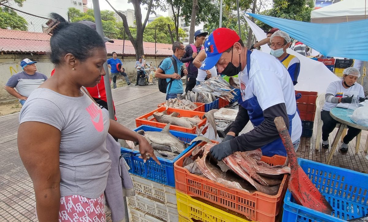 programa venezuela come pescado recorrera el pais hasta el mes de abril laverdaddemonagas.com pescado62