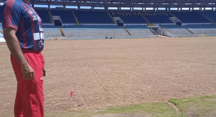 Satisfactoriamente crece nueva grama sembrada en el estadio Monumental