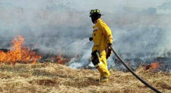 Bomberos de Monagas controlaron incendio forestal en la avenida Alirio Ugarte Pelayo de Maturín