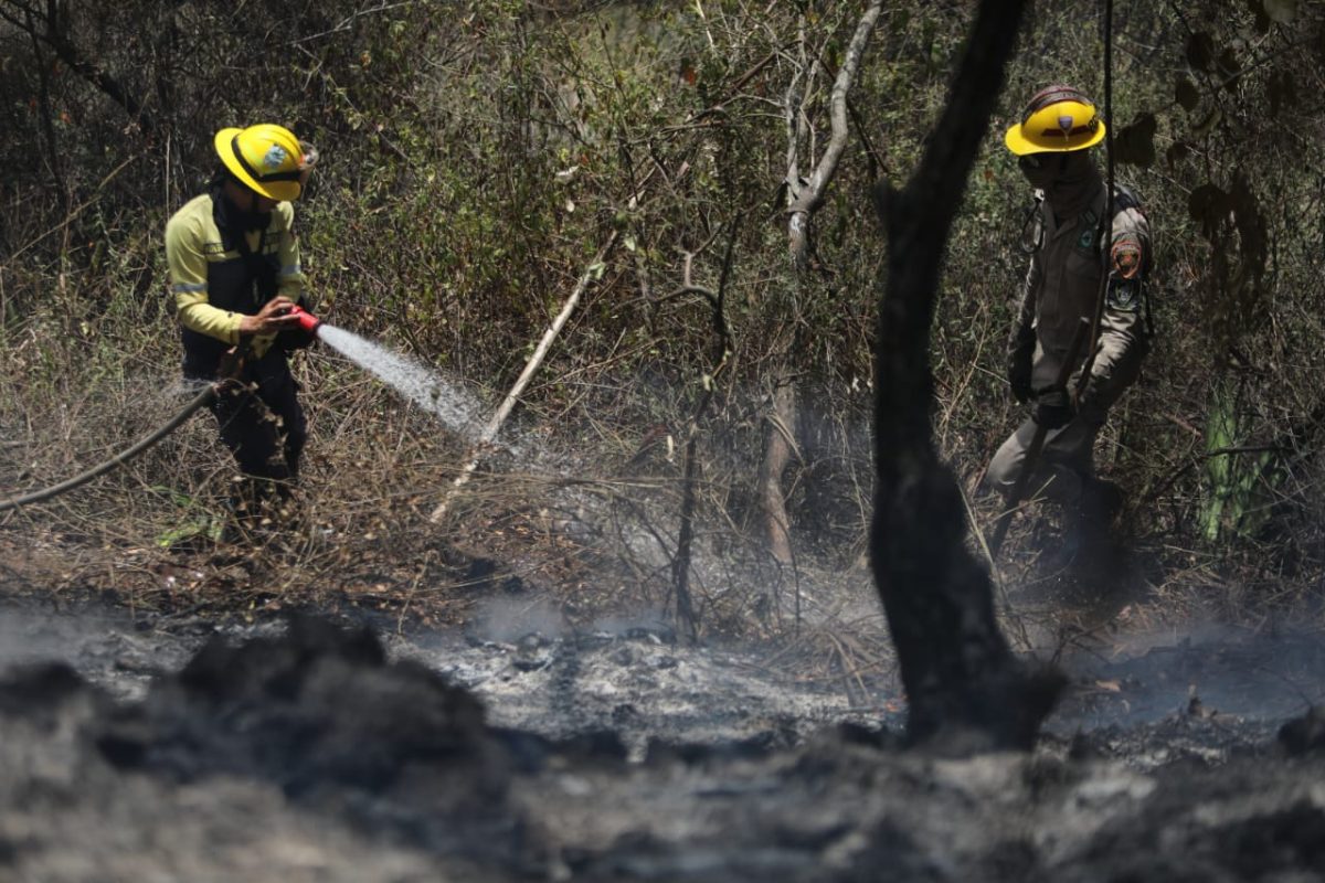 comando unificado de 30 000 funcionarios combatira incendios forestales en el pais laverdaddemonagas.com incendio9.5