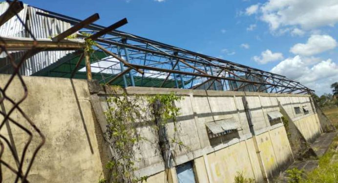 Decana de UPEL Maturín denuncia acoso por no cambiar de sede