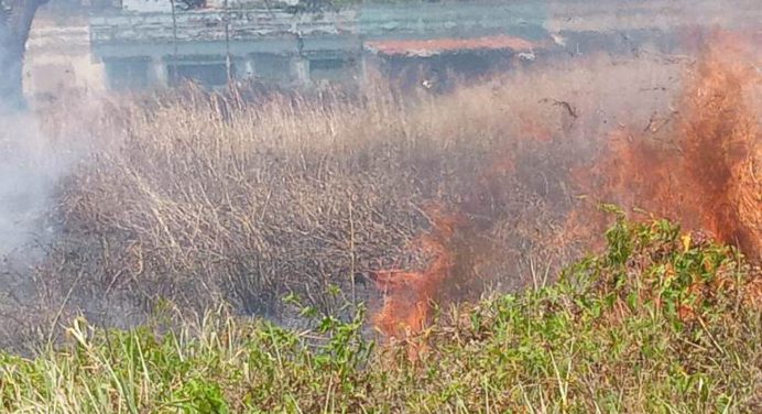 Incendio frente al Sanz afectó a estudiantes