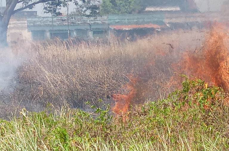 en pleno centro de maturin incendian terrenos amontados laverdaddemonagas.com whatsapp image 2023 03 21 at 3.27.17 pm 1