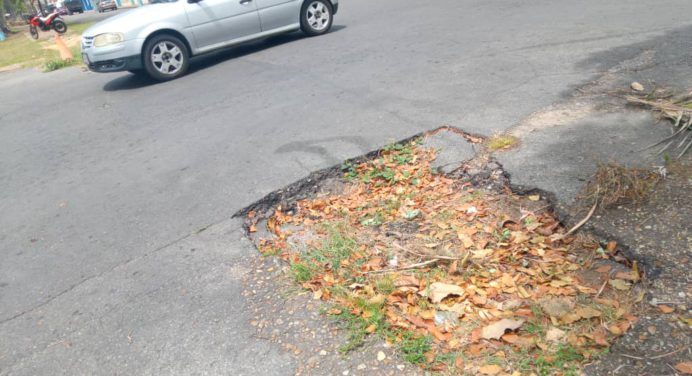 Principales avenidas de Maturín en franco deterioro
