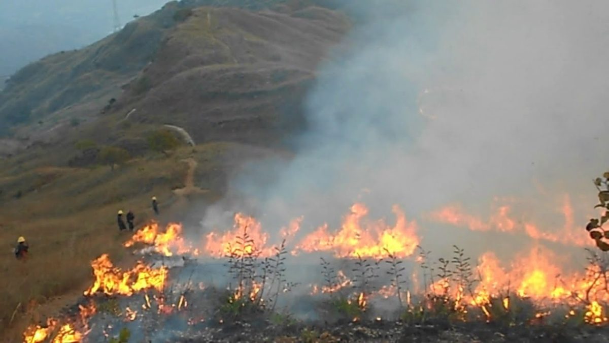 incendios 