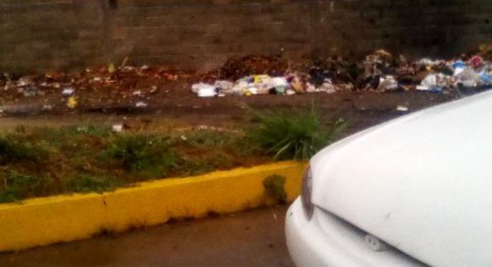 ¡Vecinos denuncian! El aseo urbano dejó de pasar por la calle 5 de Las Cocuizas