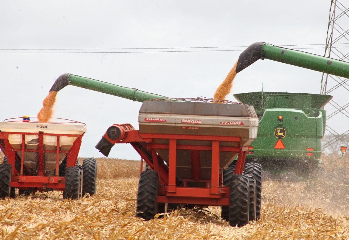 Conectados con Ernesto: En Monagas se impulsó producción agrícola en el primer trimestre de 2023 3 conectados con ernesto en monagas se impulso produccion agricola en el primer trimestre de 2023 laverdaddemonagas.com ernesto2