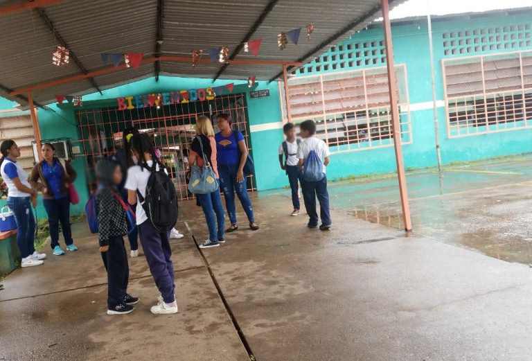 Denuncian la llegada de pollos dañados en escuela San Simón