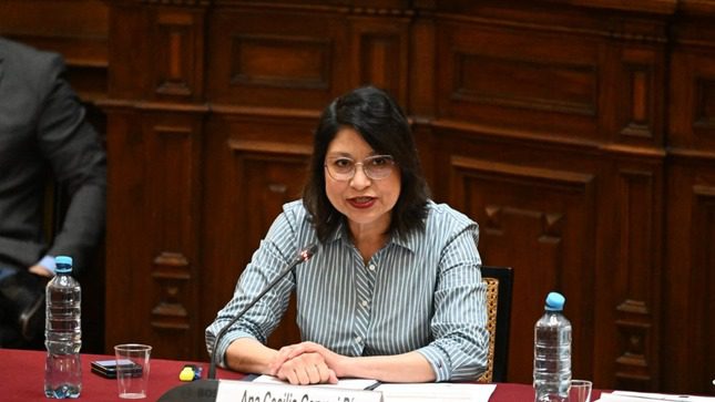La canciller de Perú, Ana Cecilia Gervasi fustigó la defensa que hizo del ex presidente Castillo