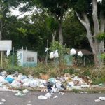 calle principal de las cocuizas amanecio repleta de basura laverdaddemonagas.com whatsapp image 2023 05 22 at 4.34.25 pm