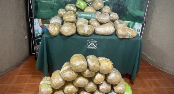 Detienen a dos venezolanos con más de 50 kilos de marihuana en Chile
