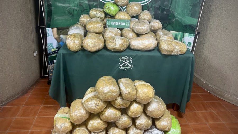 detienen a dos venezolanos con mas de 50 kilos de marihuana en chile laverdaddemonagas.com droga