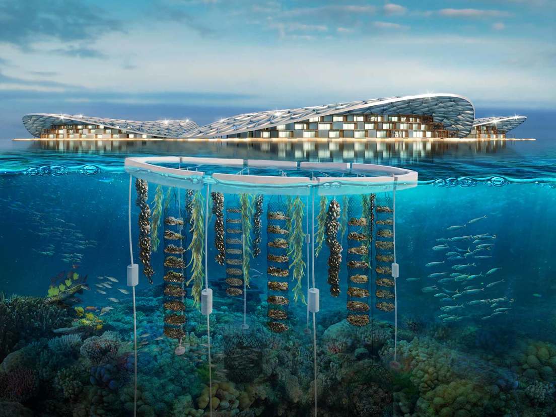 Dubái albergará el arrecife artificial más grande del mundo