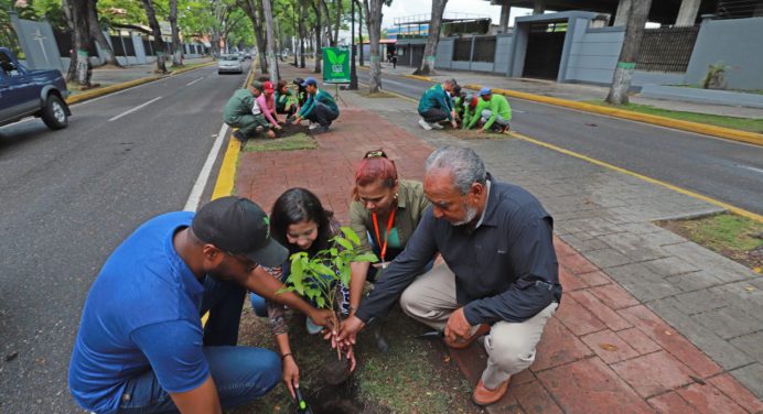 En marcha protección del túnel vegetal de Maturín con la siembra de 135 árboles