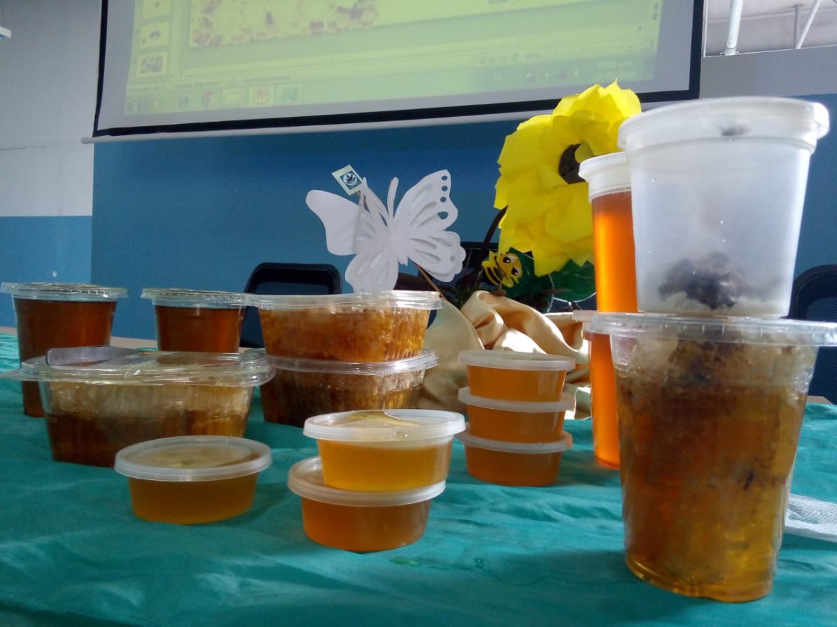 imparten charla sobre la importancia de las abejas para el ecosistema laverdaddemonagas.com abejas3