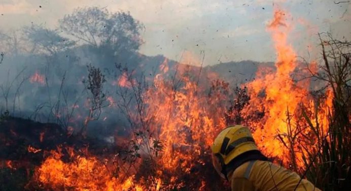 Más de 270 incendios forestales en Caracas ¿Qué está pasando y cómo podemos ayudar?