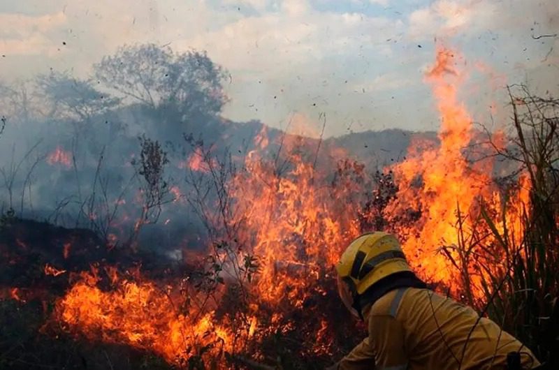 Más de 270 incendios forestales en Caracas